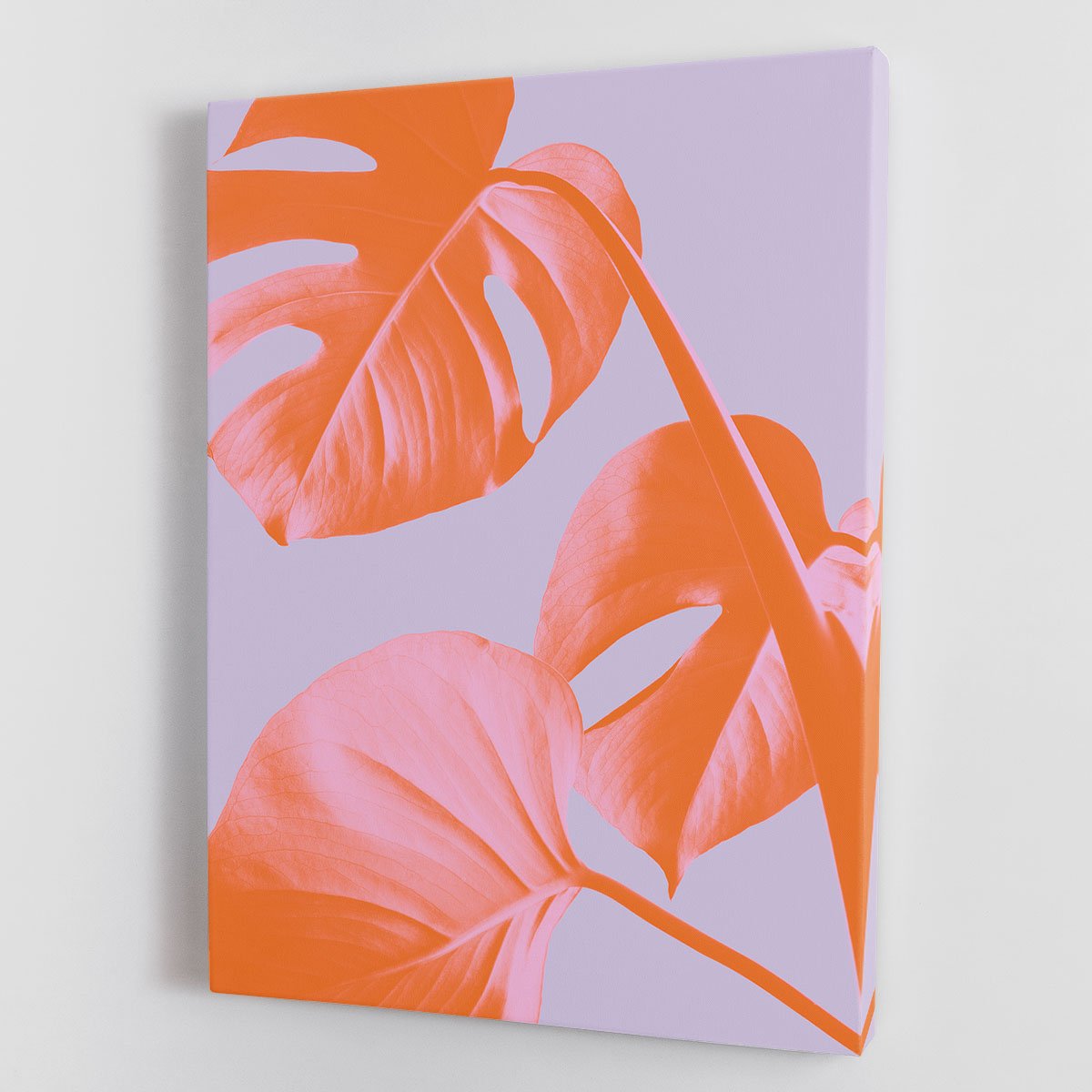 Monstera Purple 03 Canvas Print or Poster - Canvas Art Rocks - 1