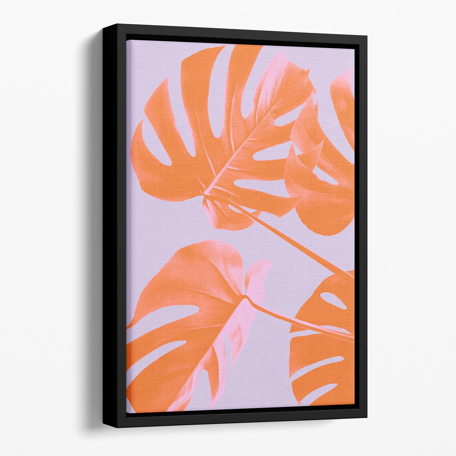 Monstera Purple 04 Floating Framed Canvas - Canvas Art Rocks - 1