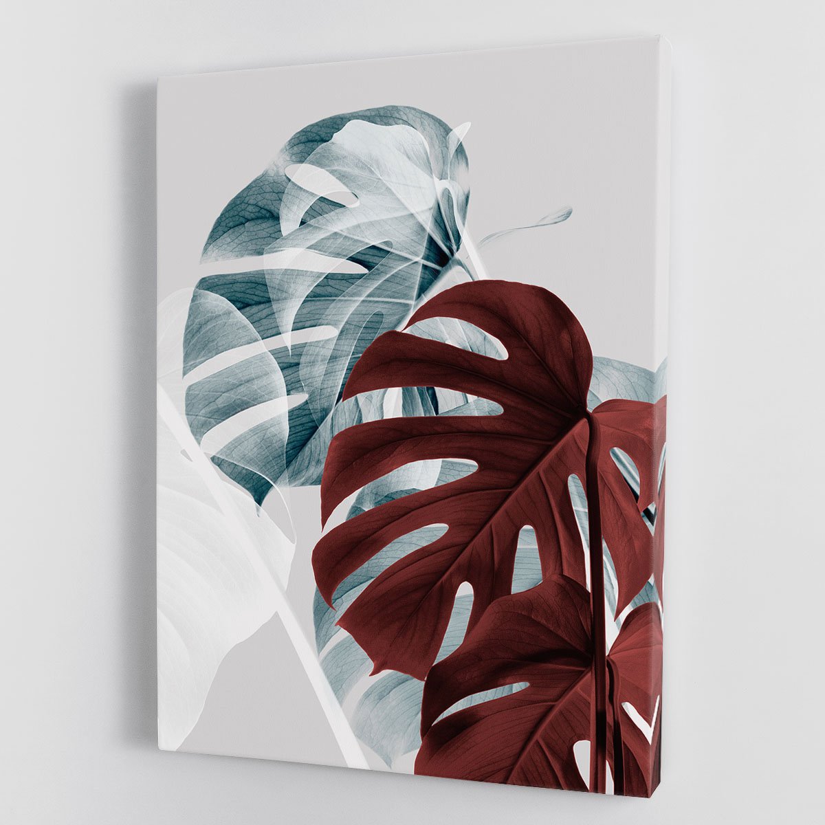 Monstera Creative 18 Canvas Print or Poster - Canvas Art Rocks - 1