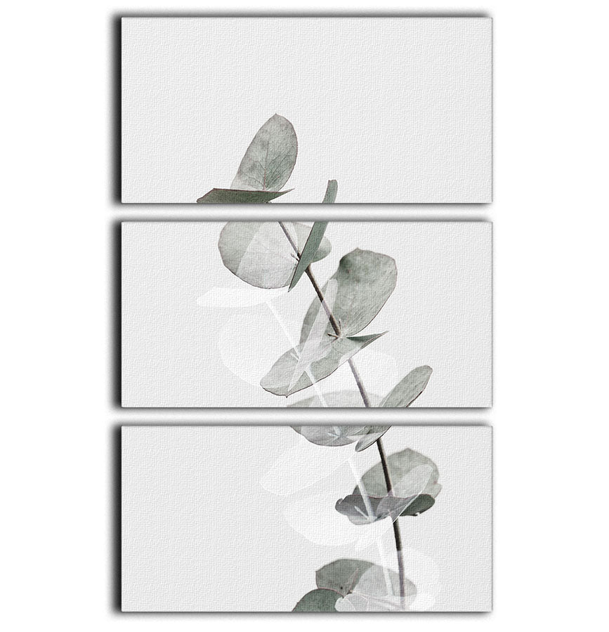 Eucalyptus Creative 05 3 Split Panel Canvas Print - Canvas Art Rocks - 1