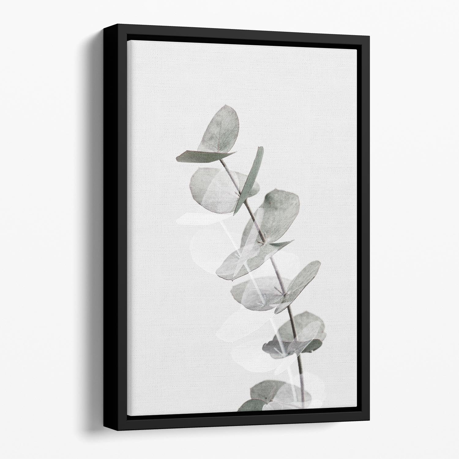 Eucalyptus Creative 05 Floating Framed Canvas - Canvas Art Rocks - 1