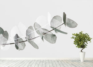 Eucalyptus Creative 05 Wall Mural Wallpaper - Canvas Art Rocks - 4