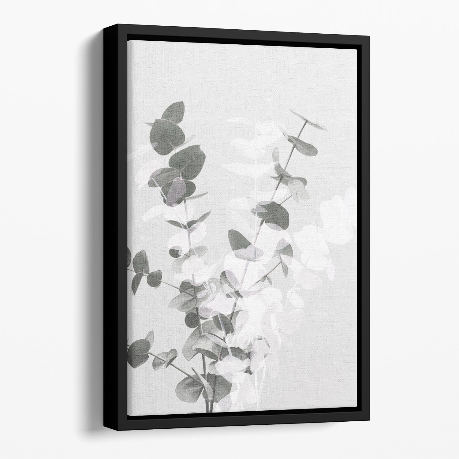 Eucalyptus Creative 08 Floating Framed Canvas - Canvas Art Rocks - 1