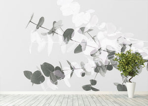 Eucalyptus Creative 08 Wall Mural Wallpaper - Canvas Art Rocks - 4