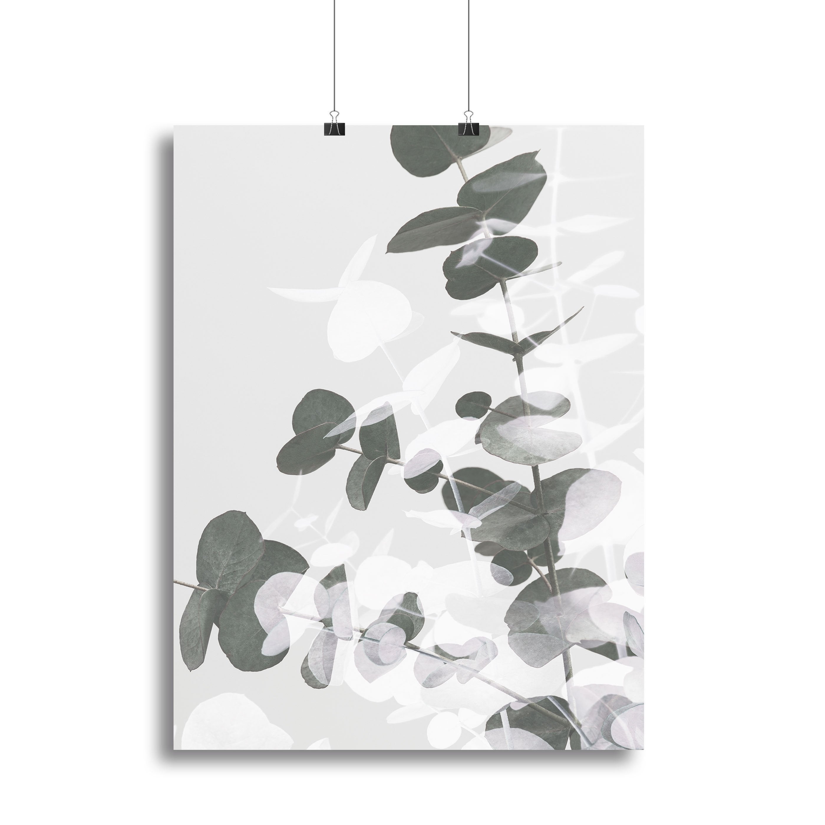 Eucalyptus Creative 09 Canvas Print or Poster - Canvas Art Rocks - 2