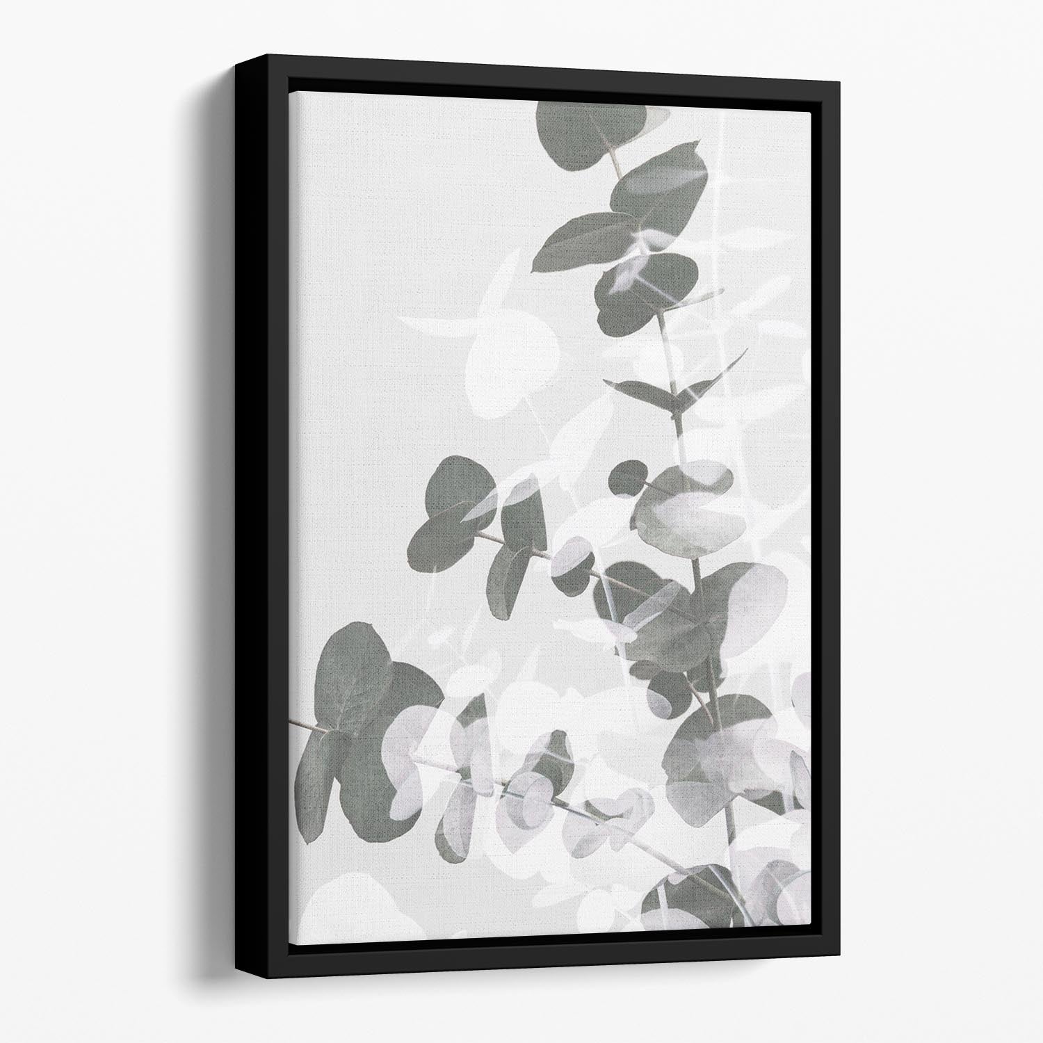 Eucalyptus Creative 09 Floating Framed Canvas - Canvas Art Rocks - 1