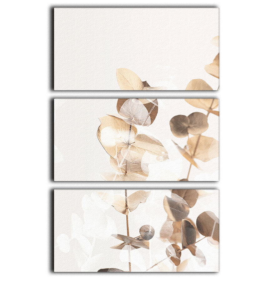 Eucalyptus Creative Gold 01 3 Split Panel Canvas Print - Canvas Art Rocks - 1