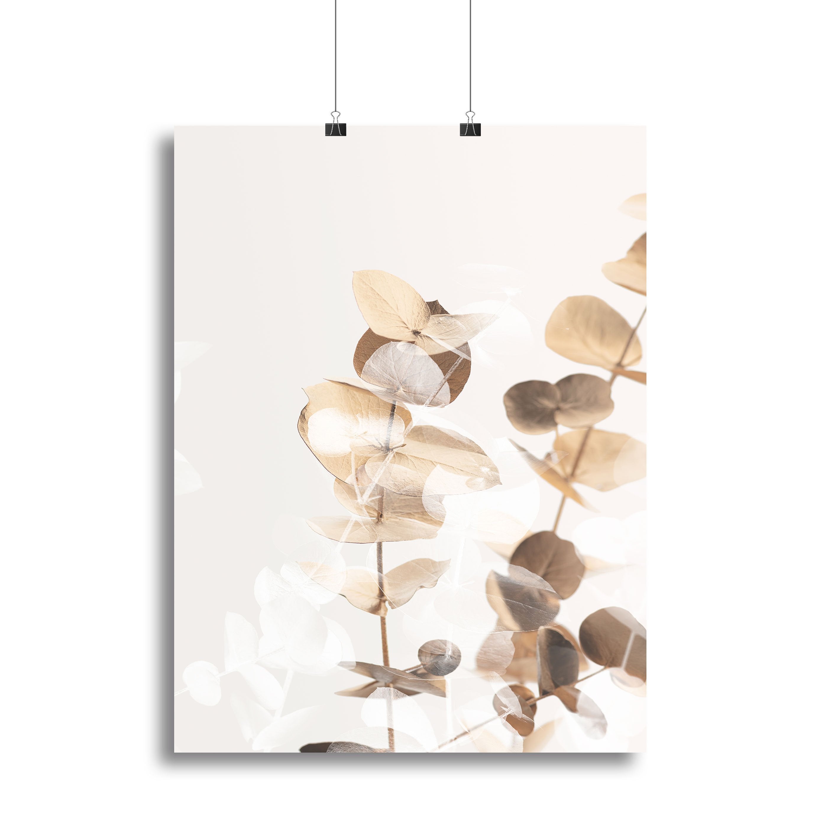 Eucalyptus Creative Gold 01 Canvas Print or Poster - Canvas Art Rocks - 2