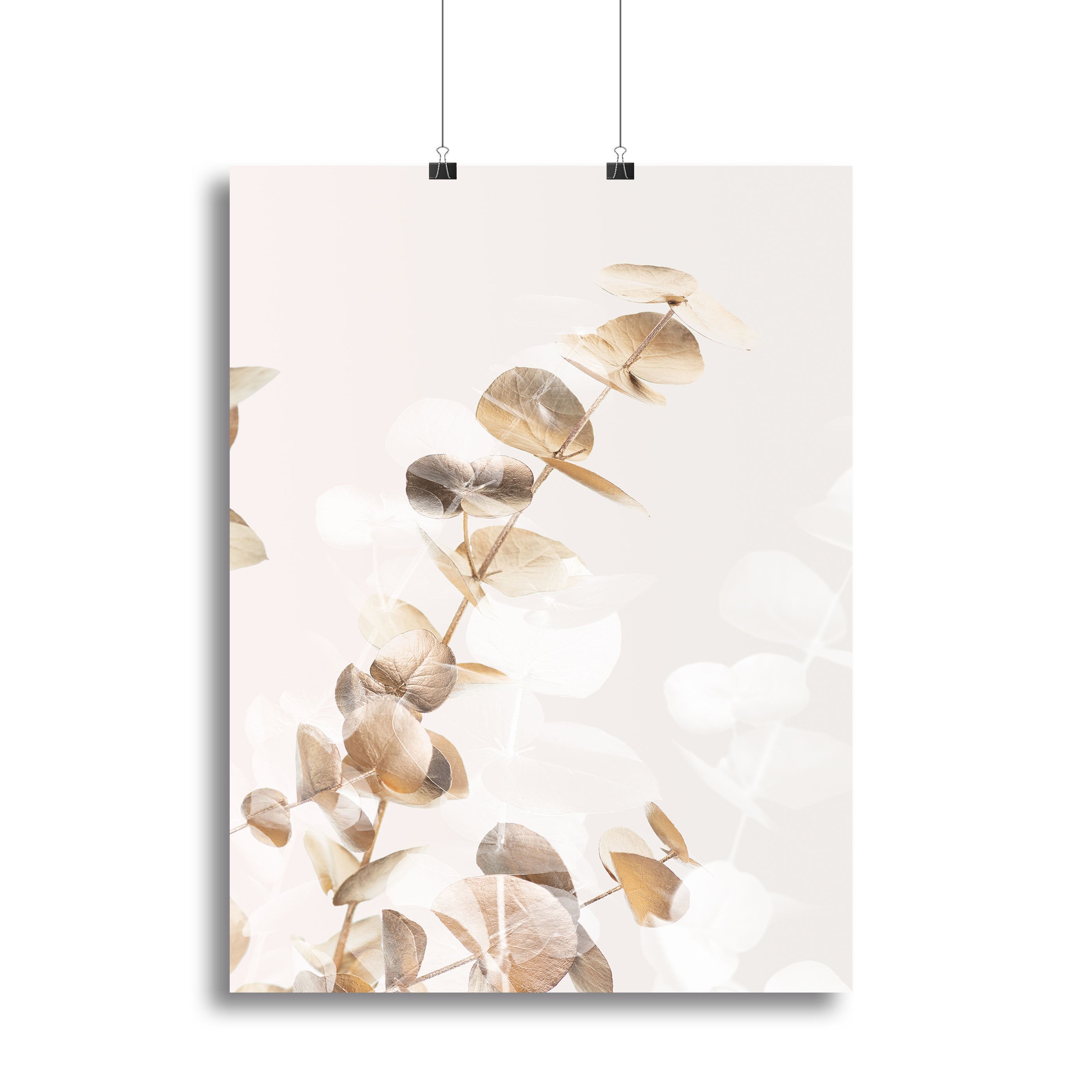 Eucalyptus Creative Gold 02 Canvas Print or Poster - Canvas Art Rocks - 2