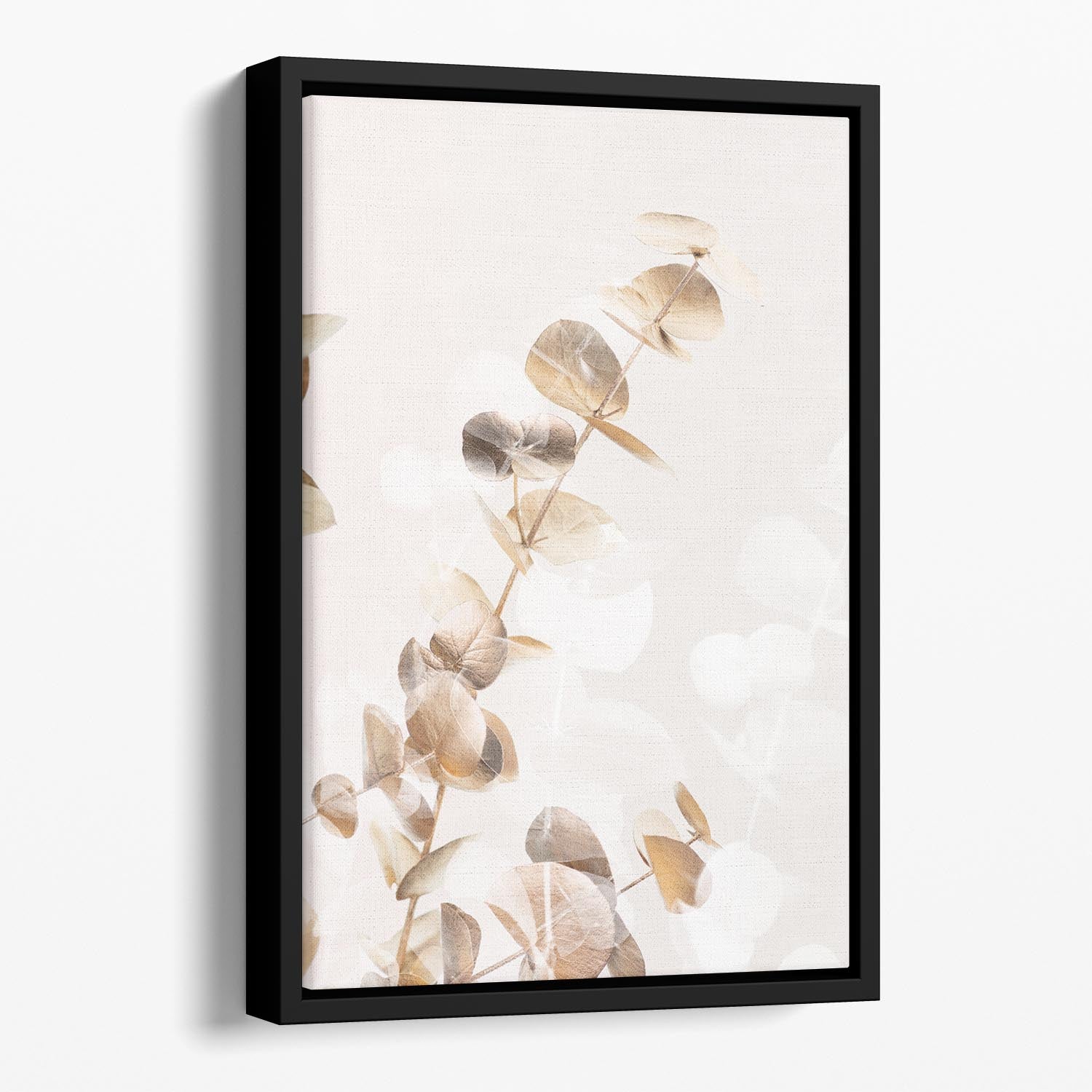 Eucalyptus Creative Gold 02 Floating Framed Canvas - Canvas Art Rocks - 1