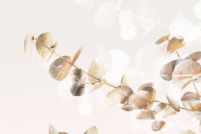 Eucalyptus Creative Gold 02 Wall Mural Wallpaper