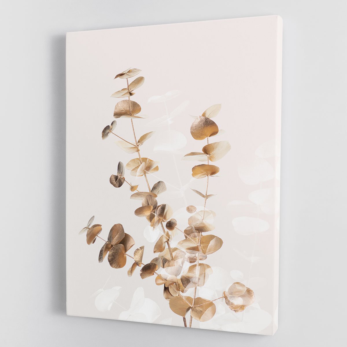 Eucalyptus Creative Gold 03 Canvas Print or Poster - Canvas Art Rocks - 1