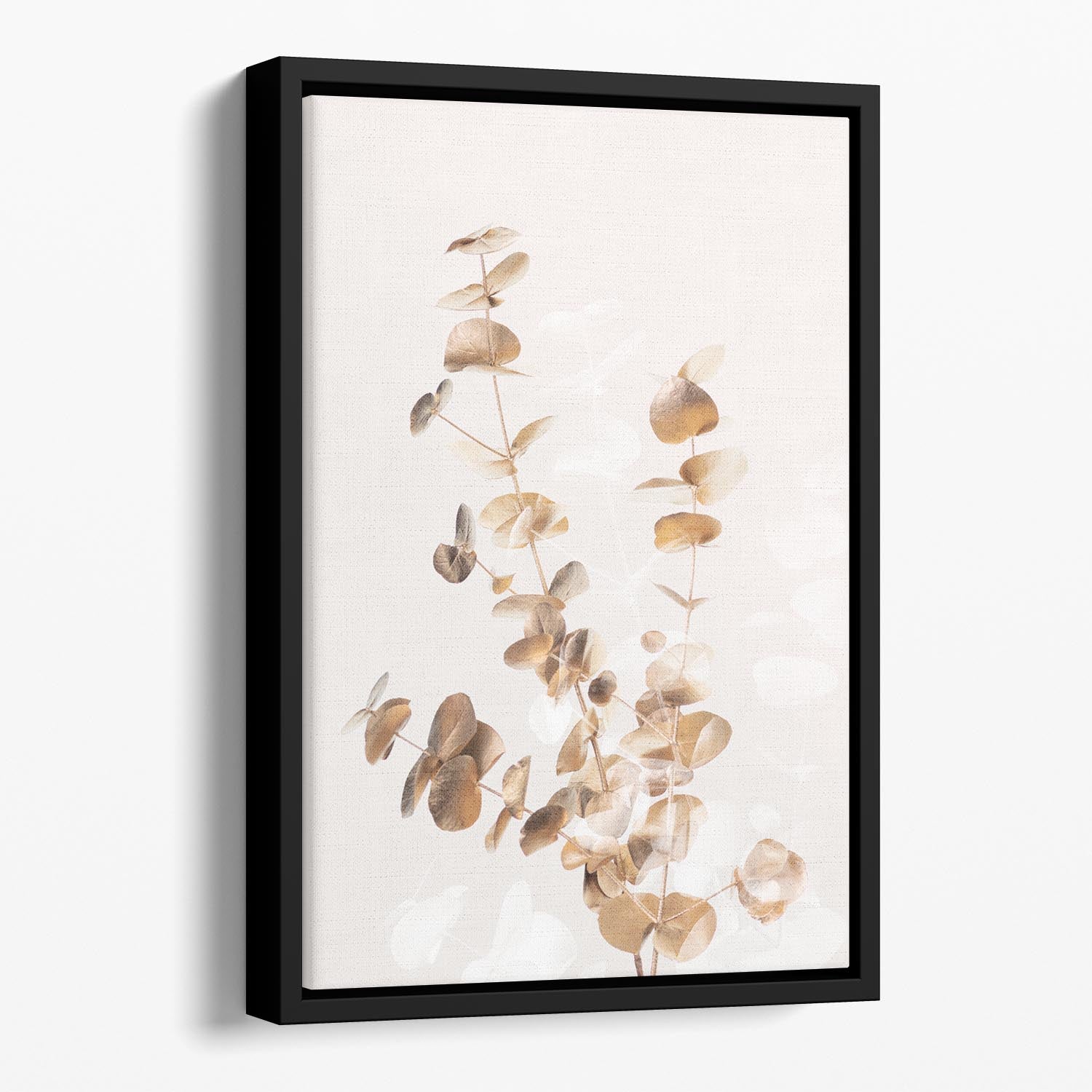 Eucalyptus Creative Gold 03 Floating Framed Canvas - Canvas Art Rocks - 1