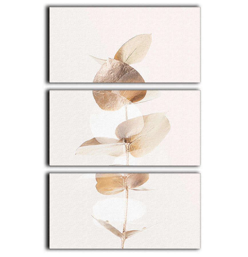 Eucalyptus Creative Gold 04 3 Split Panel Canvas Print - Canvas Art Rocks - 1