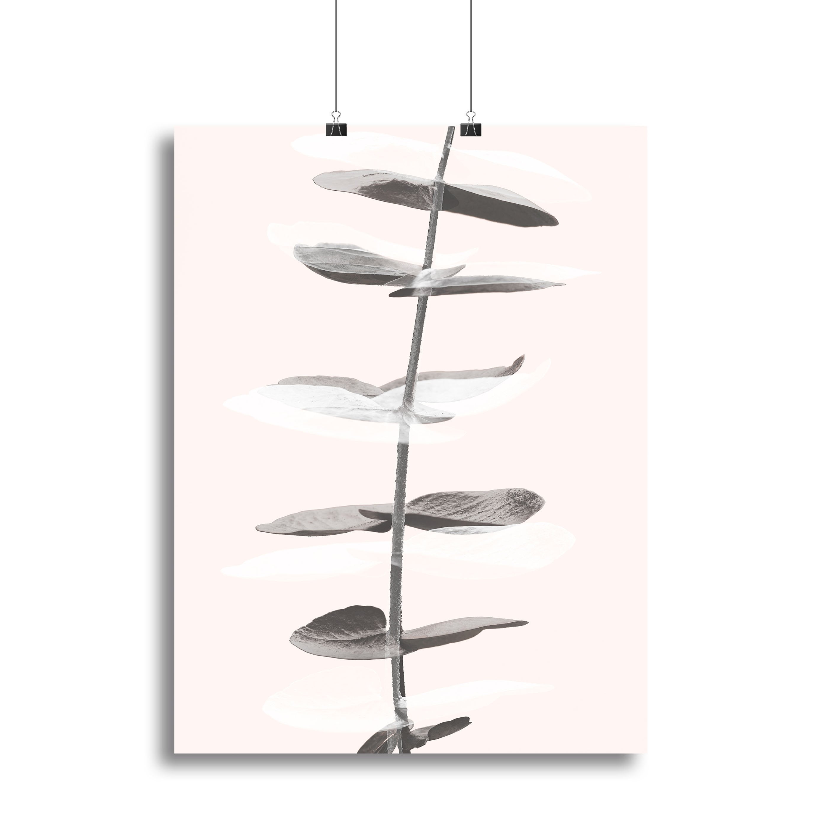 Eucalyptus Creative 11 Canvas Print or Poster - Canvas Art Rocks - 2