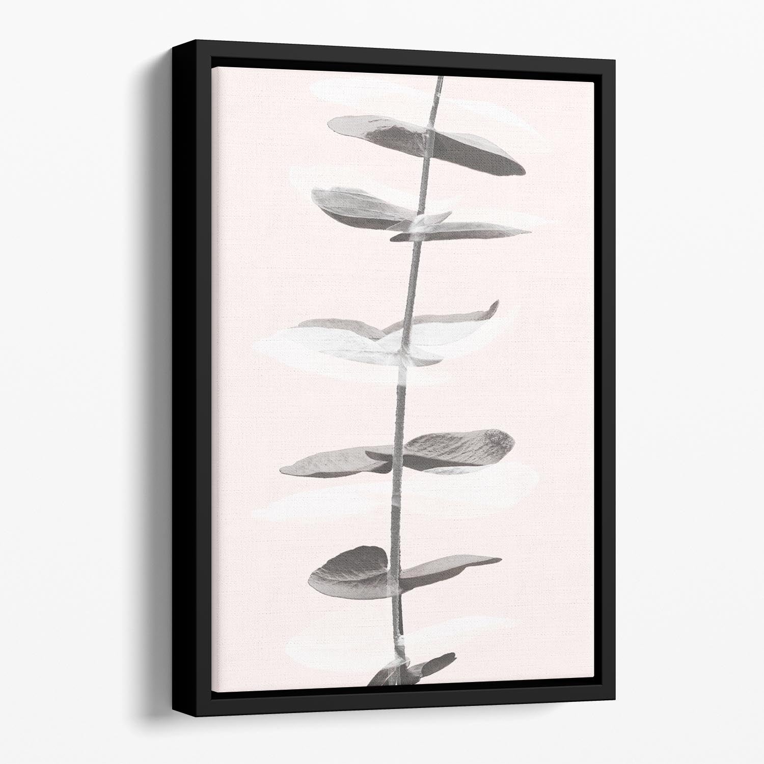 Eucalyptus Creative 11 Floating Framed Canvas - Canvas Art Rocks - 1