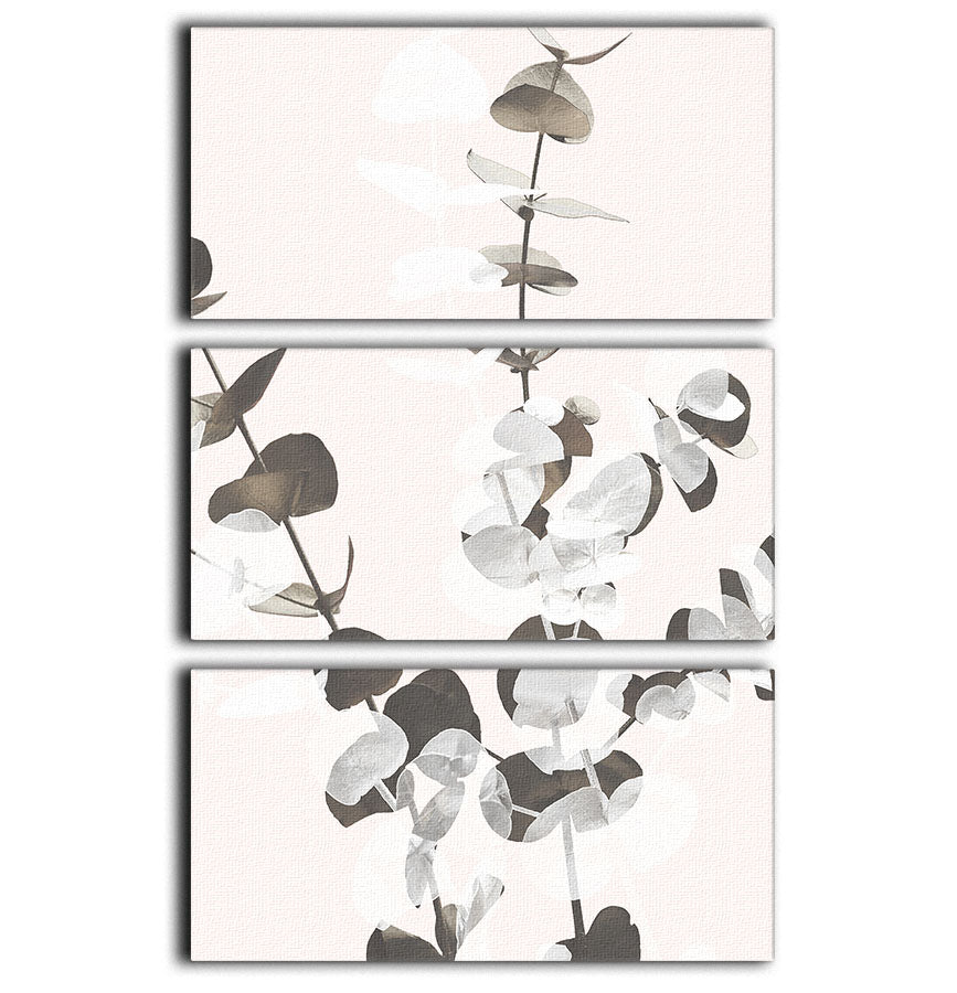 Eucalyptus Creative 12 3 Split Panel Canvas Print - Canvas Art Rocks - 1