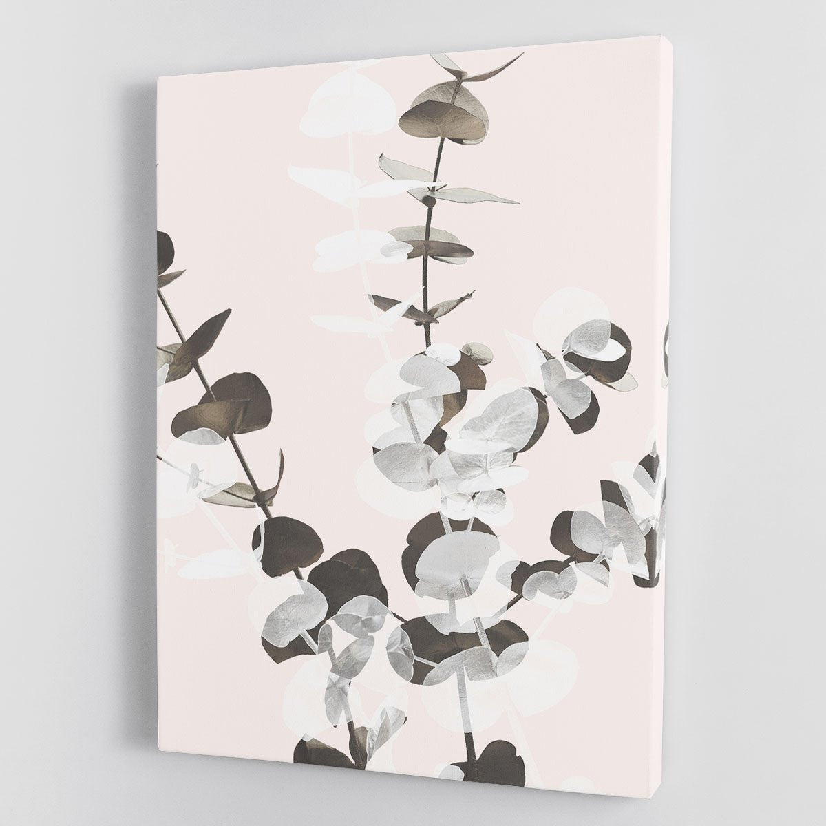 Eucalyptus Creative 12 Canvas Print or Poster - Canvas Art Rocks - 1