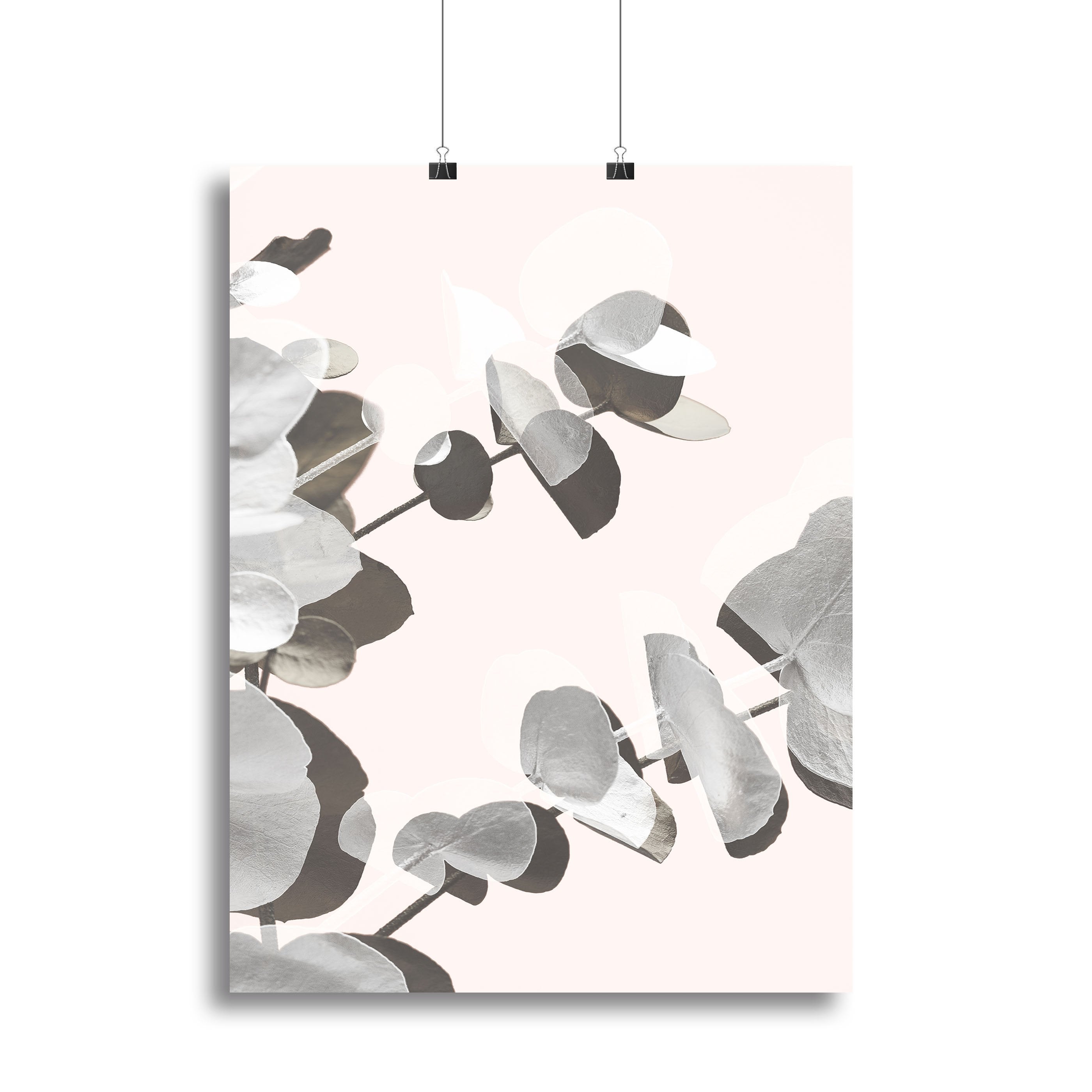 Eucalyptus Creative 14 Canvas Print or Poster - Canvas Art Rocks - 2