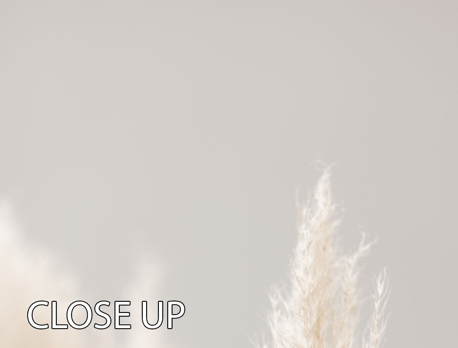 Pampas Grass Grey 04 3 Split Panel Canvas Print - Canvas Art Rocks - 3