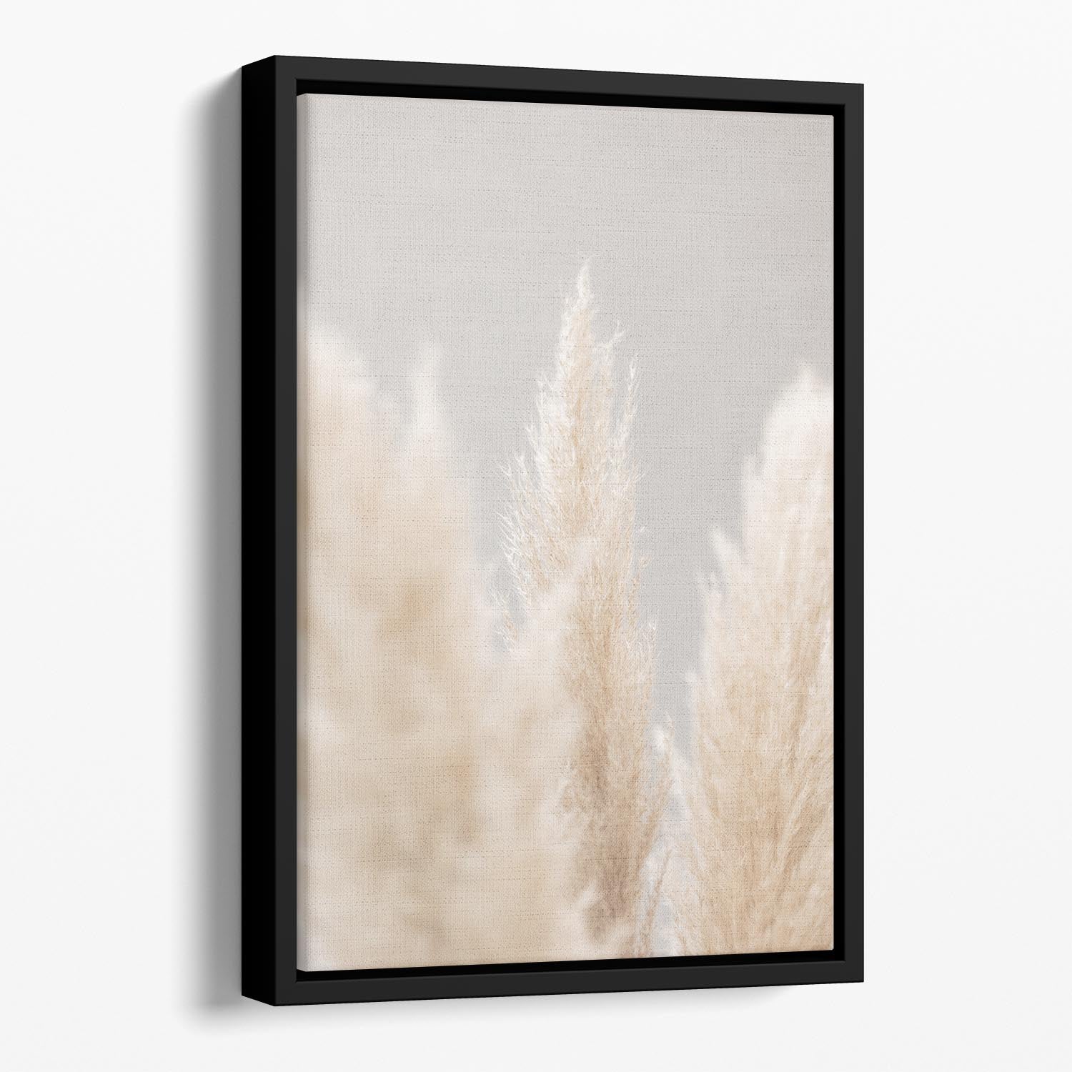 Pampas Grass Grey 04 Floating Framed Canvas - Canvas Art Rocks - 1