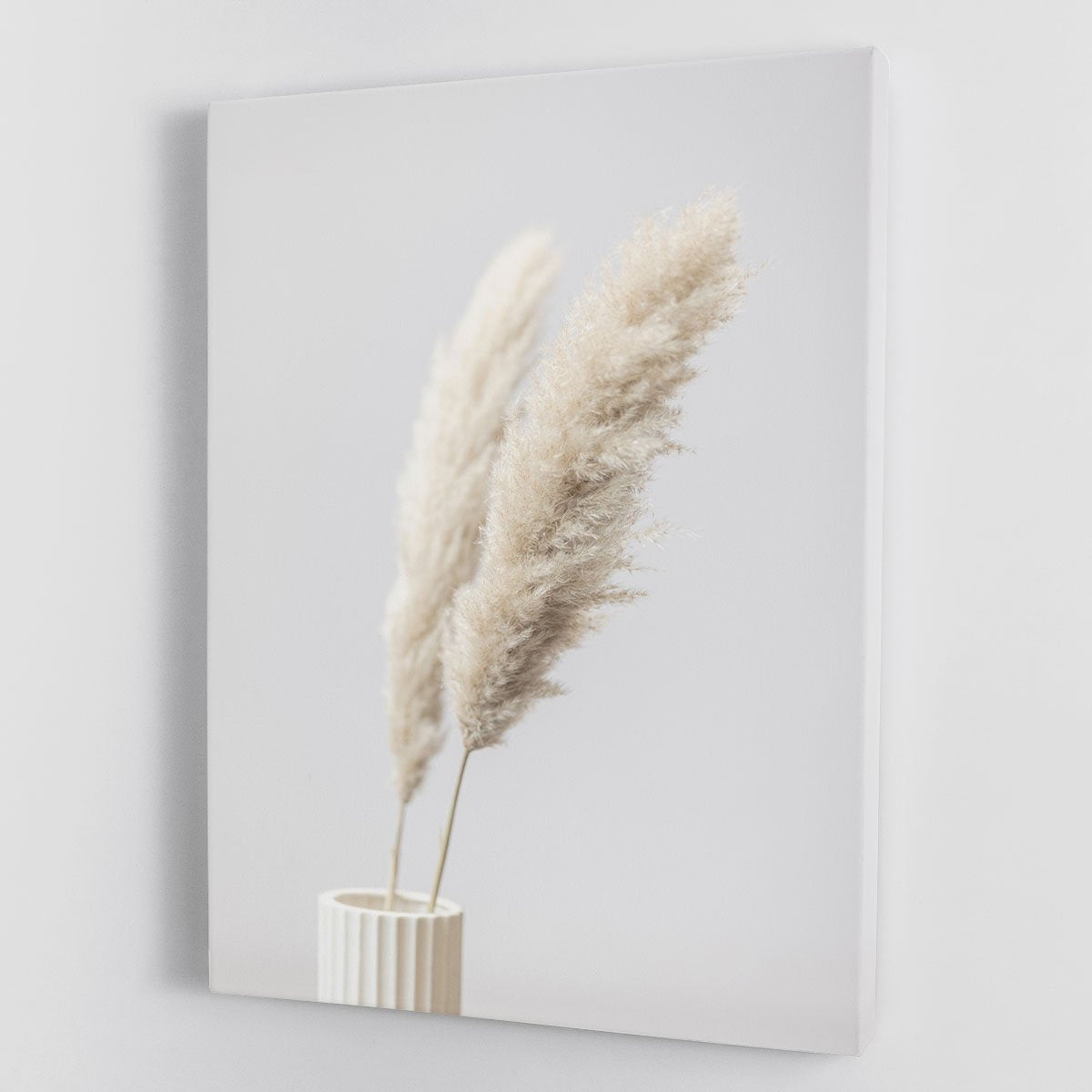 Pampas Grass Grey 11 Canvas Print or Poster - Canvas Art Rocks - 1