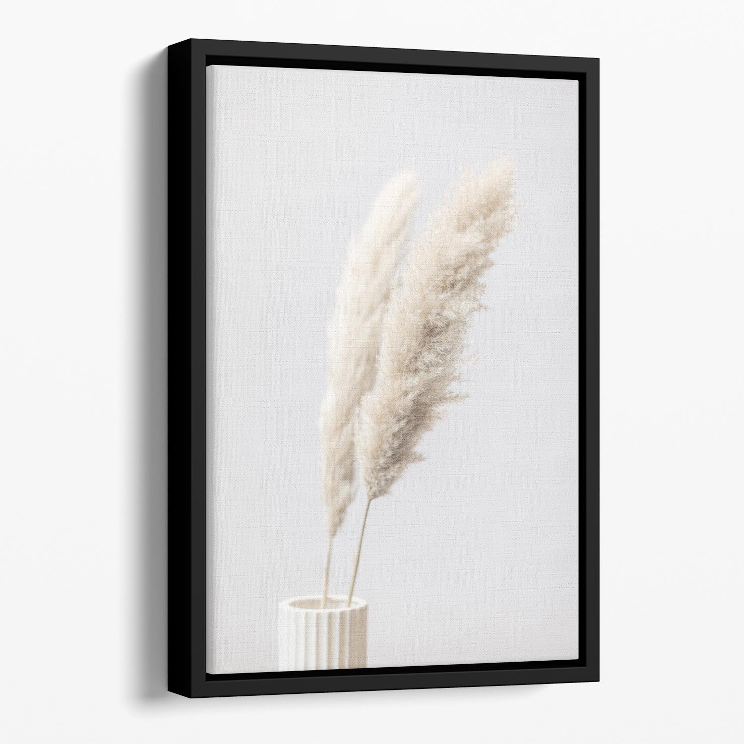 Pampas Grass Grey 11 Floating Framed Canvas - Canvas Art Rocks - 1