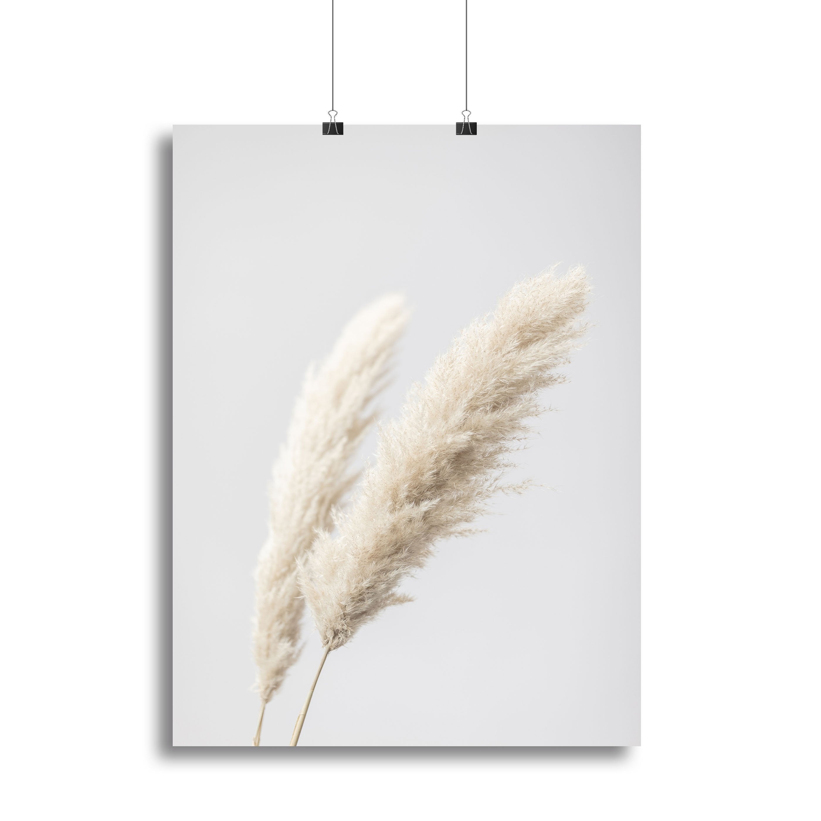Pampas Grass Grey 13 Canvas Print or Poster - Canvas Art Rocks - 2