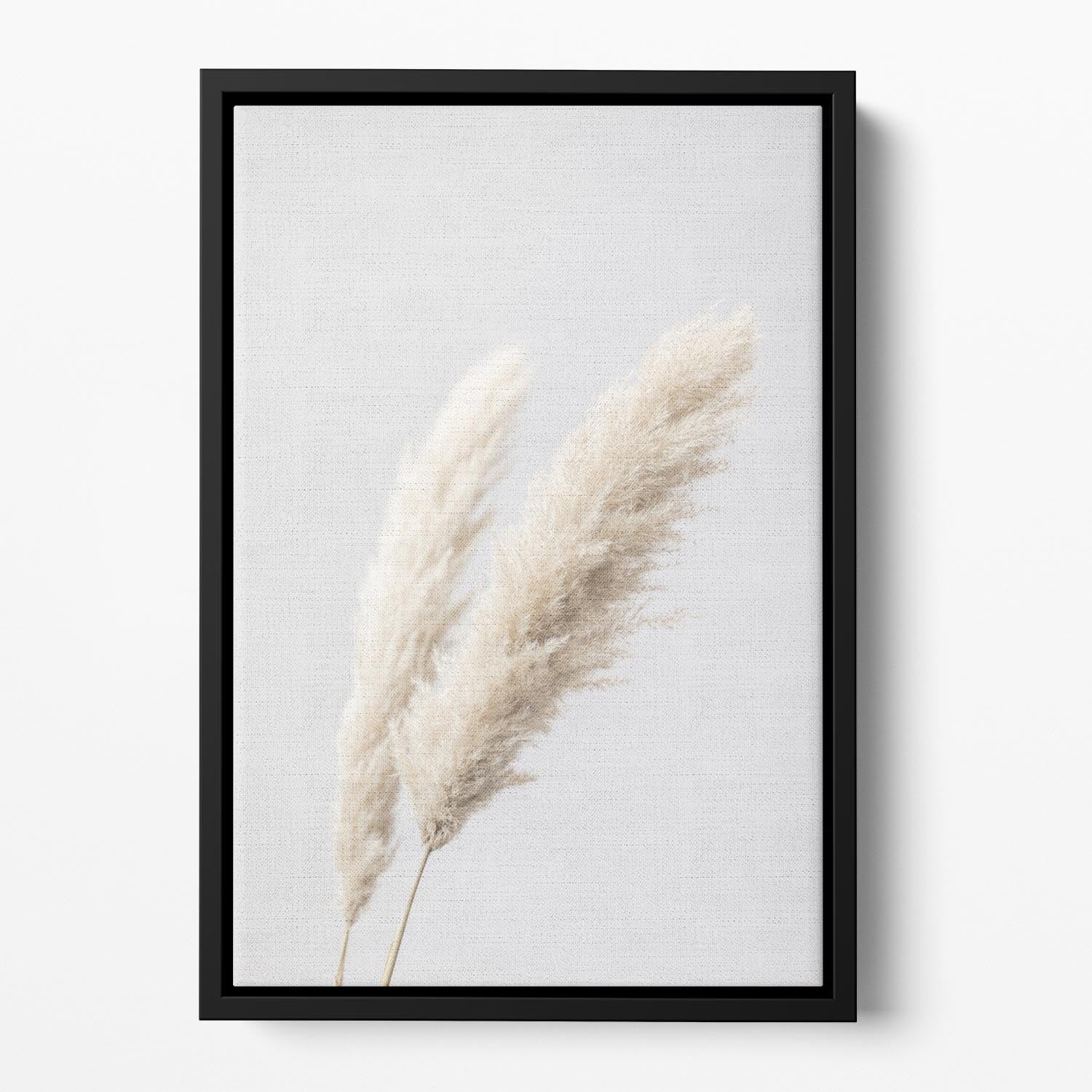 Pampas Grass Grey 13 Floating Framed Canvas - Canvas Art Rocks - 2