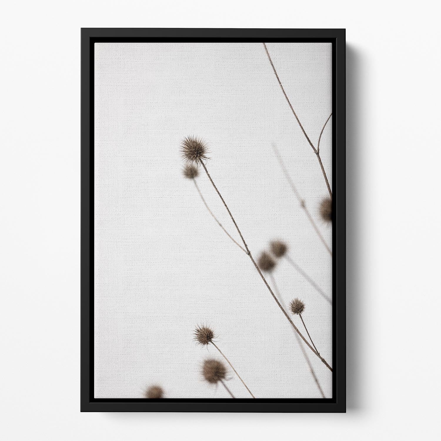 Thistle Grey 03 Floating Framed Canvas - Canvas Art Rocks - 2