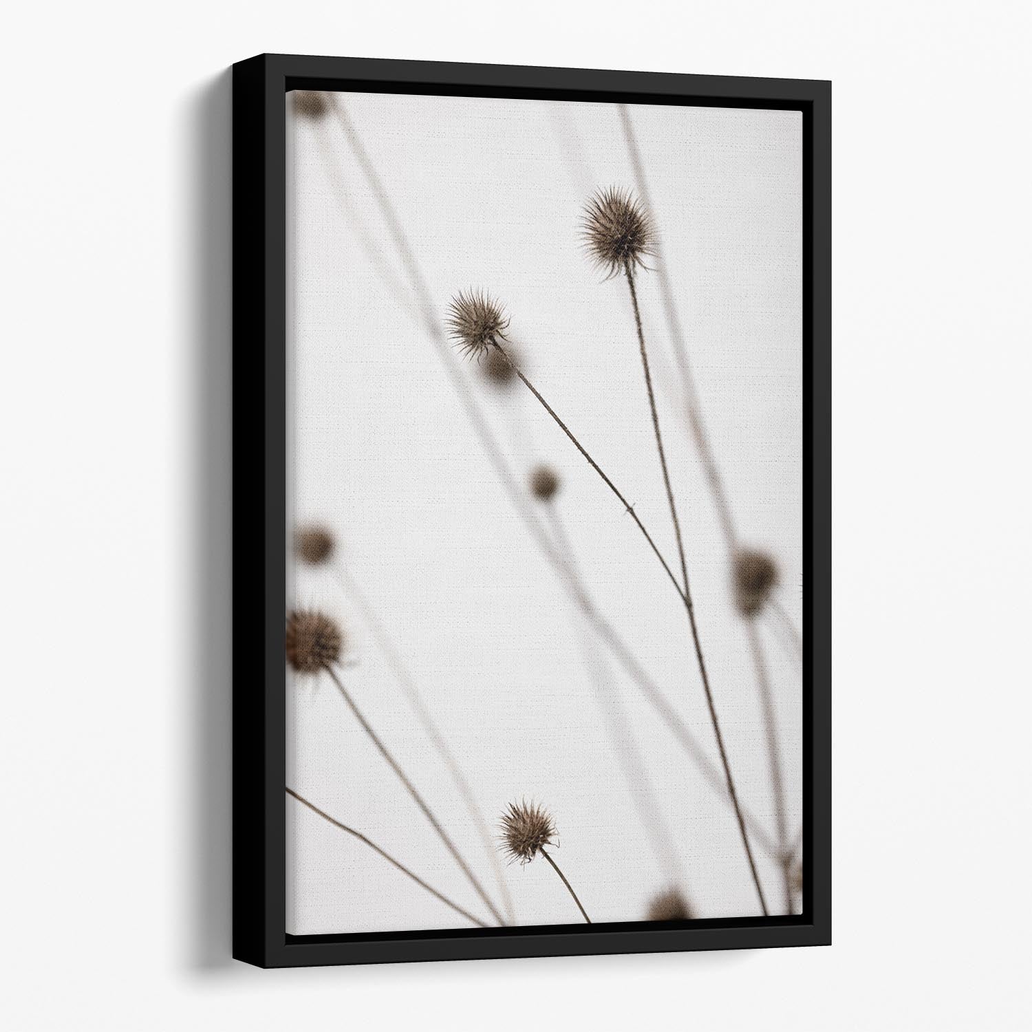 Thistle Grey 05 Floating Framed Canvas - Canvas Art Rocks - 1