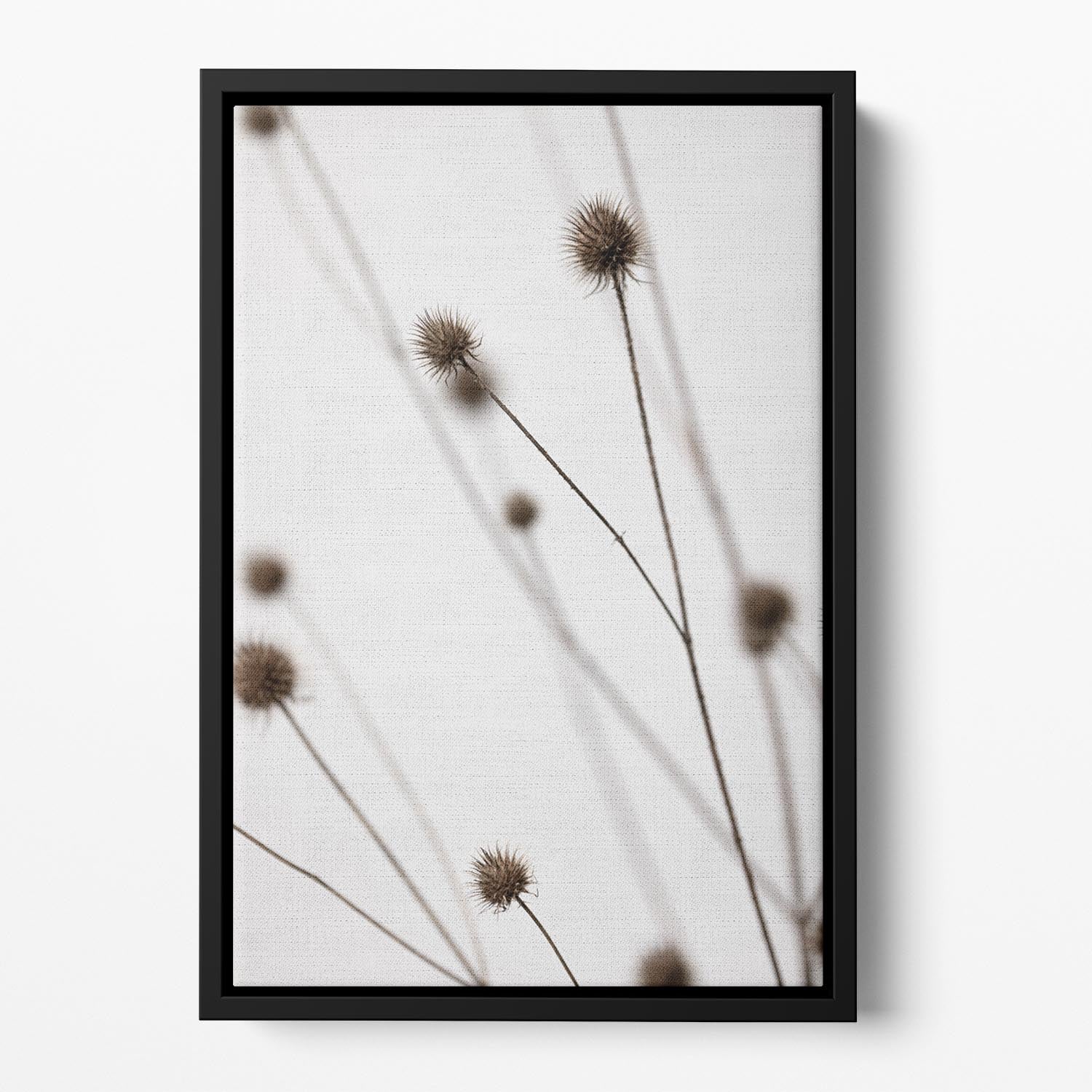 Thistle Grey 05 Floating Framed Canvas - Canvas Art Rocks - 2