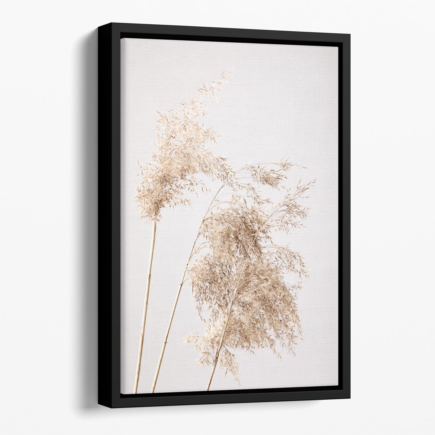 Reed Grass Grey 07 Floating Framed Canvas - Canvas Art Rocks - 1