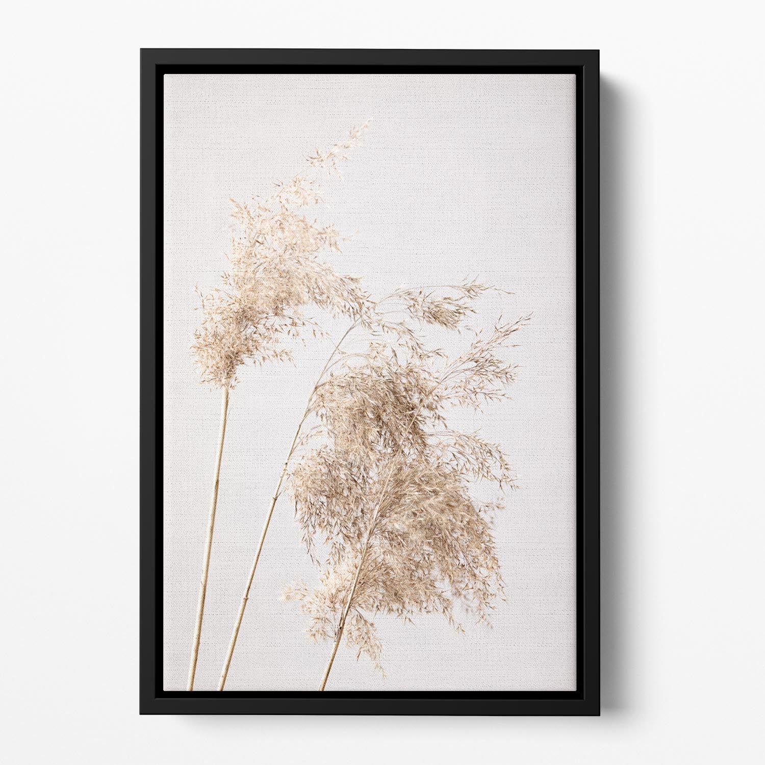 Reed Grass Grey 07 Floating Framed Canvas - Canvas Art Rocks - 2