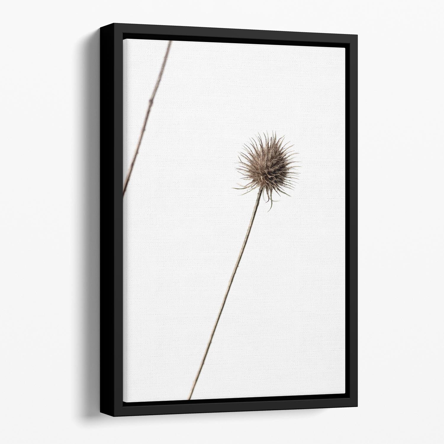 Thistle Grey 08 Floating Framed Canvas - Canvas Art Rocks - 1