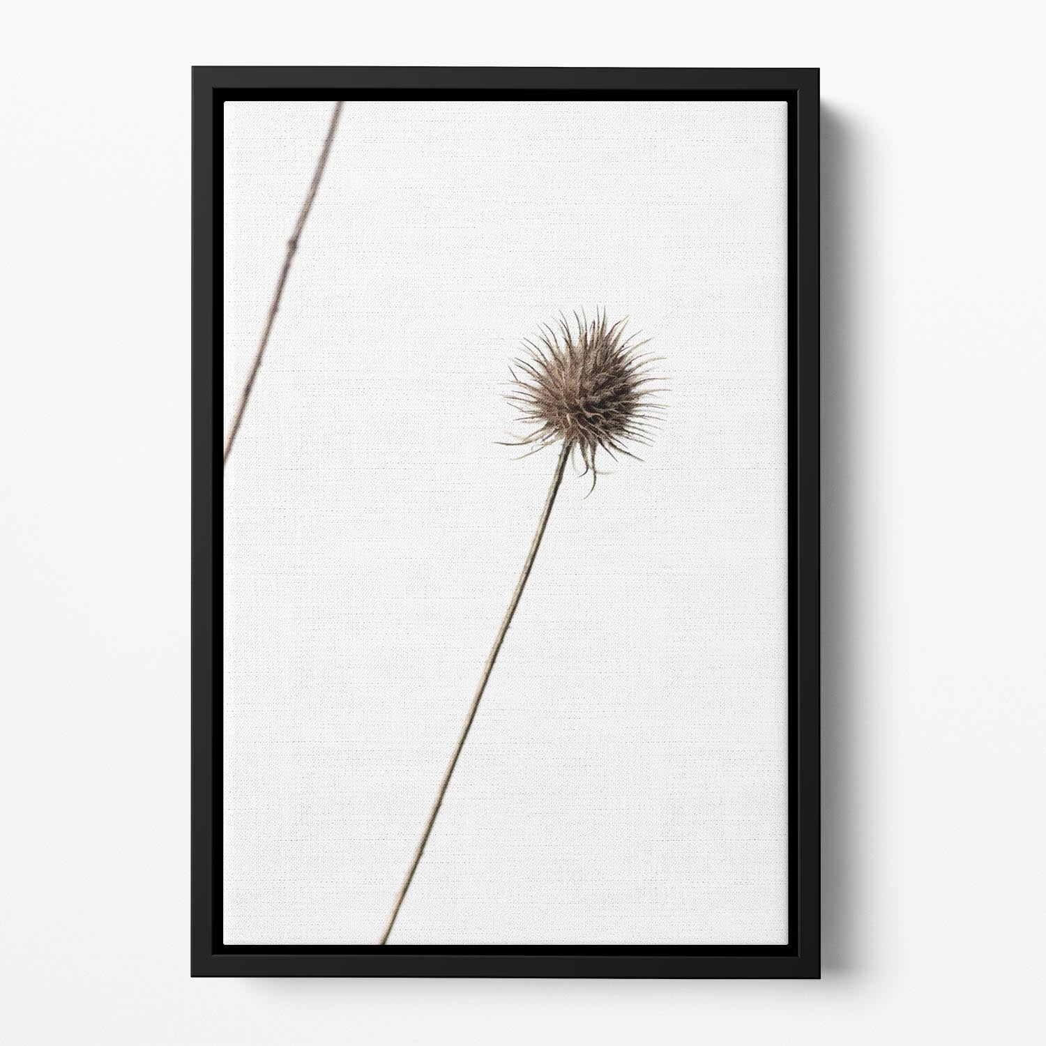 Thistle Grey 08 Floating Framed Canvas - Canvas Art Rocks - 2