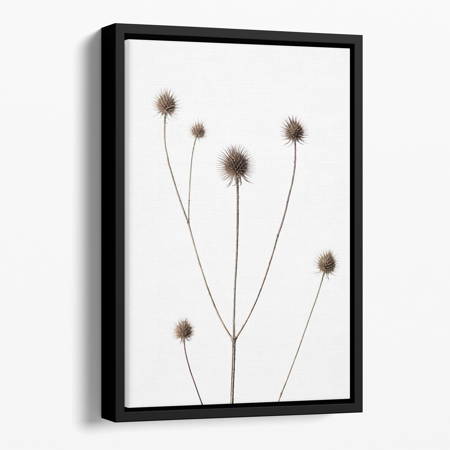 Thistle Grey 09 Floating Framed Canvas - Canvas Art Rocks - 1