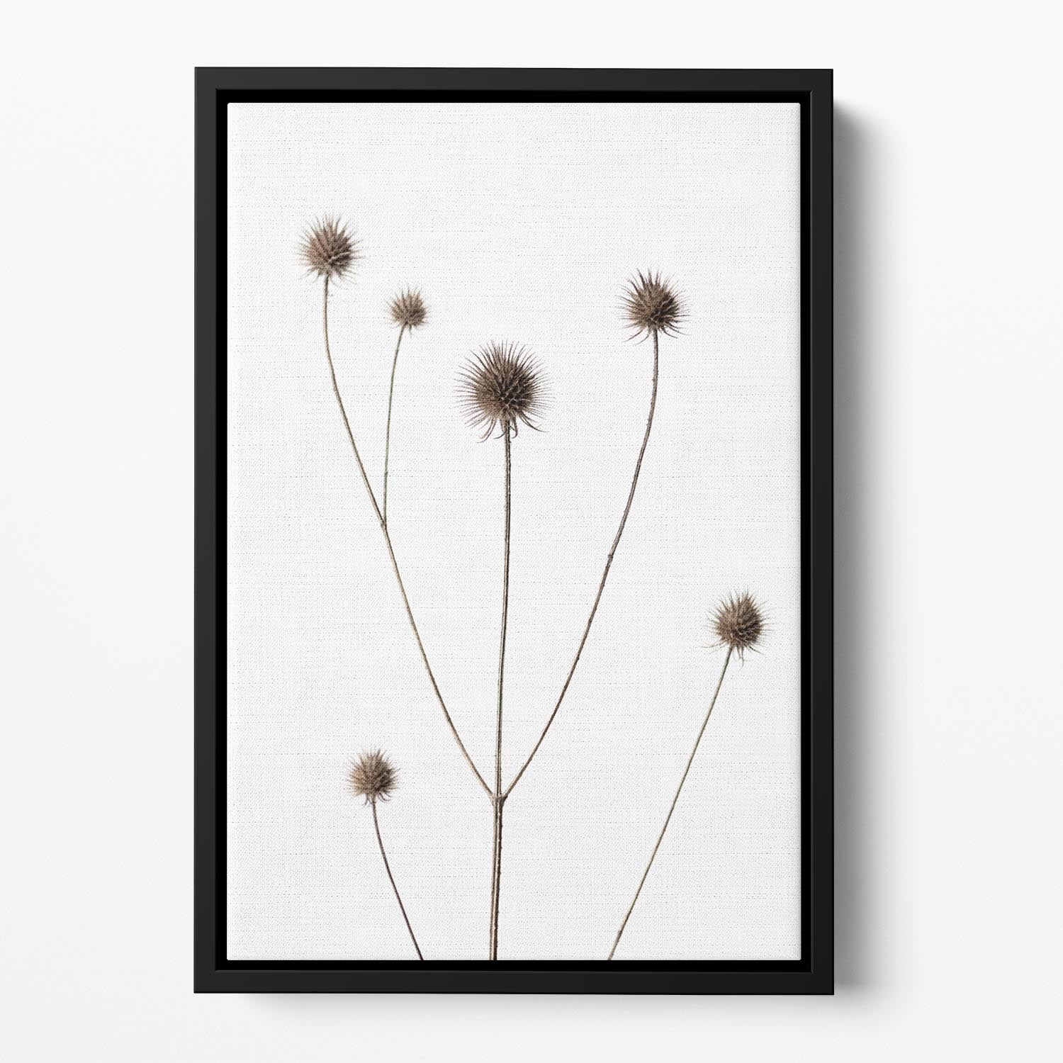 Thistle Grey 09 Floating Framed Canvas - Canvas Art Rocks - 2