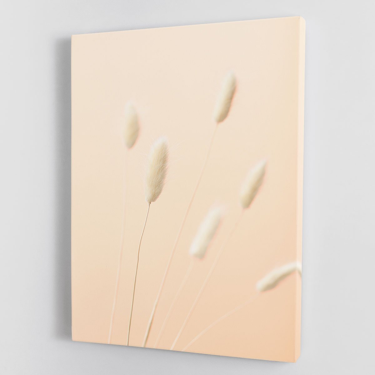 Bunny Grass Peach 07 Canvas Print or Poster - Canvas Art Rocks - 1