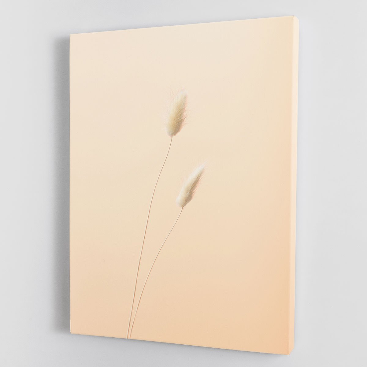 Bunny Grass Peach 08 Canvas Print or Poster - Canvas Art Rocks - 1