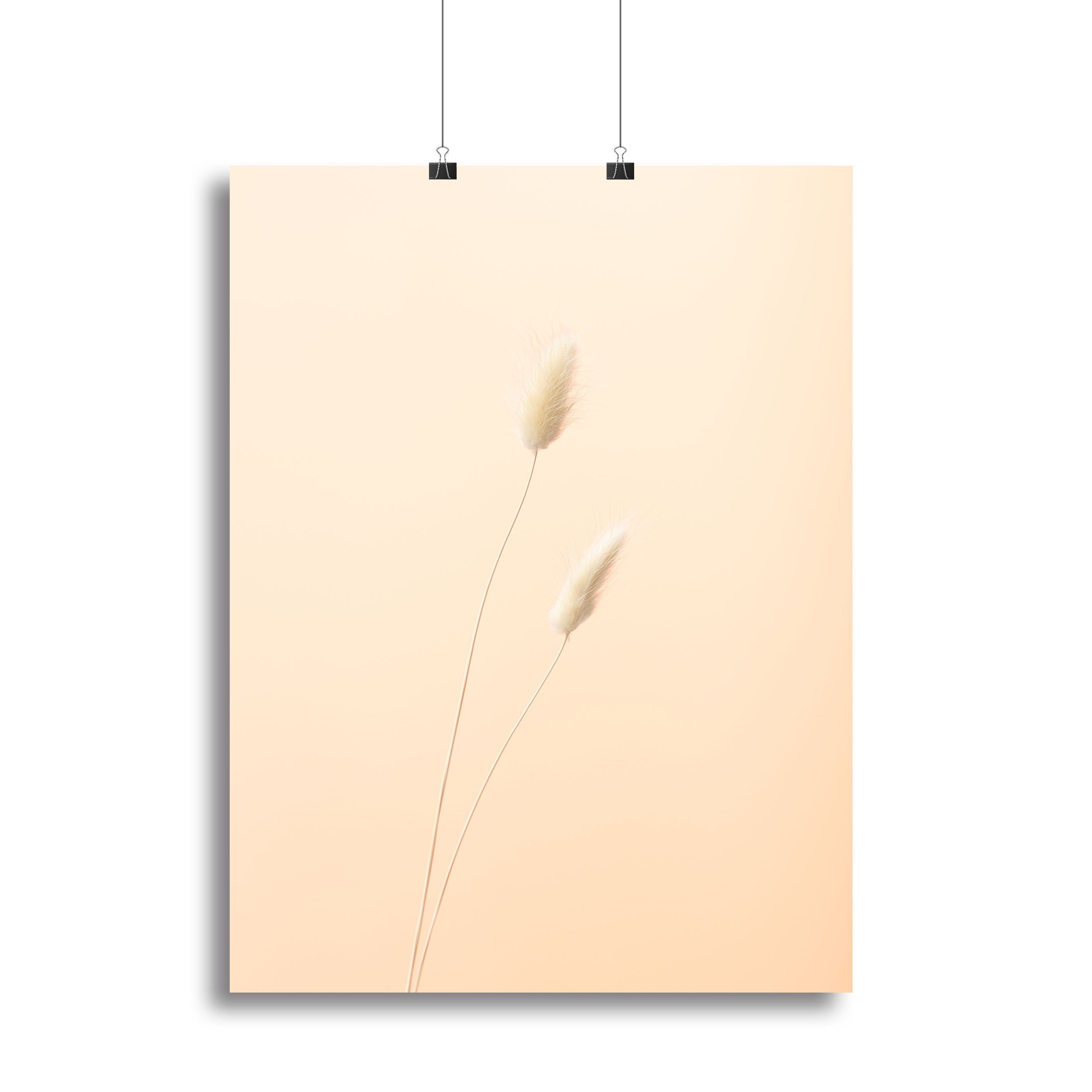 Bunny Grass Peach 08 Canvas Print or Poster - Canvas Art Rocks - 2