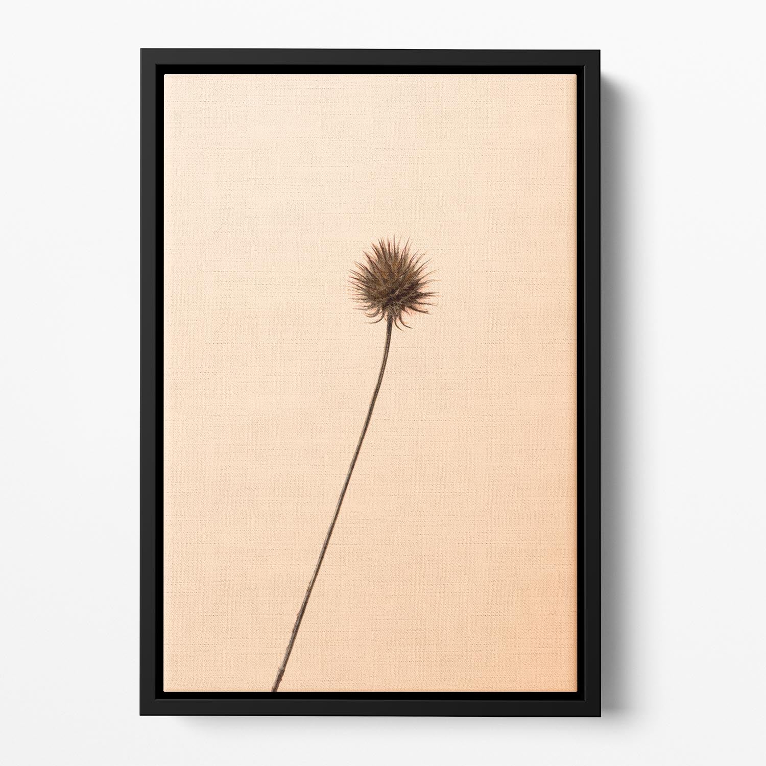 Thistle Peach Floating Framed Canvas - Canvas Art Rocks - 2