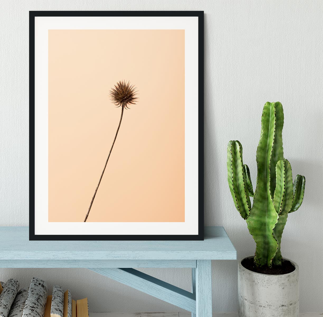 Thistle Peach Framed Print - Canvas Art Rocks - 1