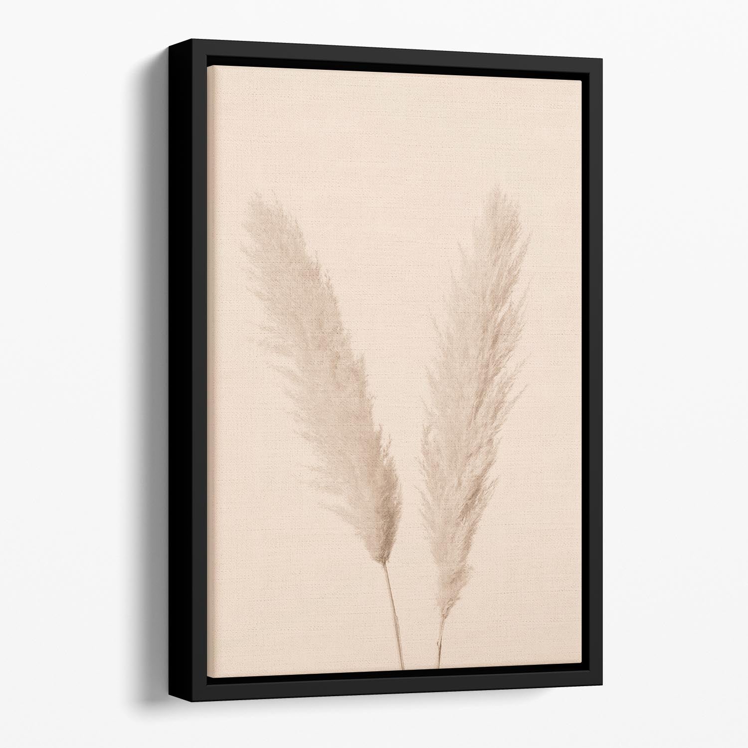 Pampas Grass Beige 01 Floating Framed Canvas - Canvas Art Rocks - 1