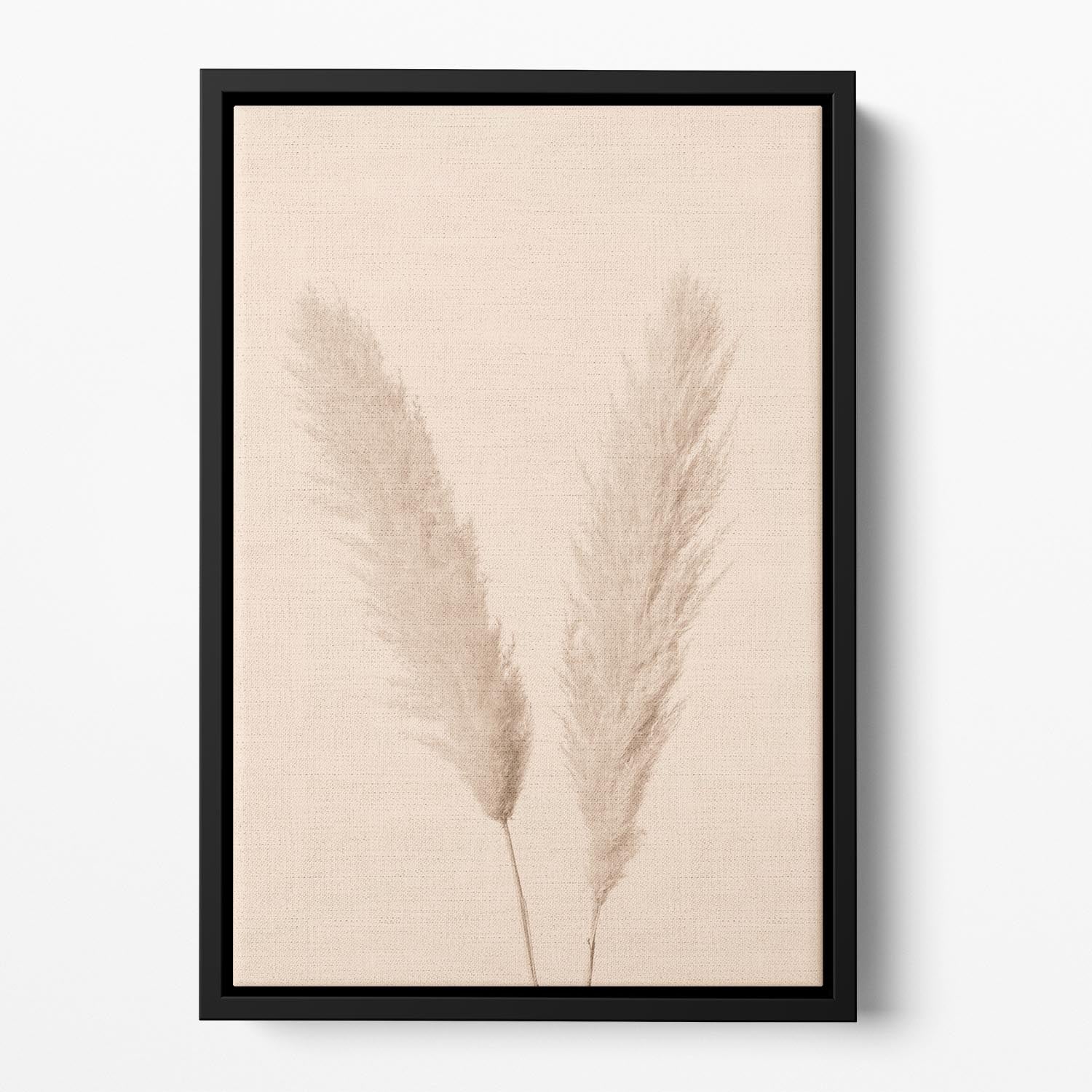 Pampas Grass Beige 01 Floating Framed Canvas - Canvas Art Rocks - 2