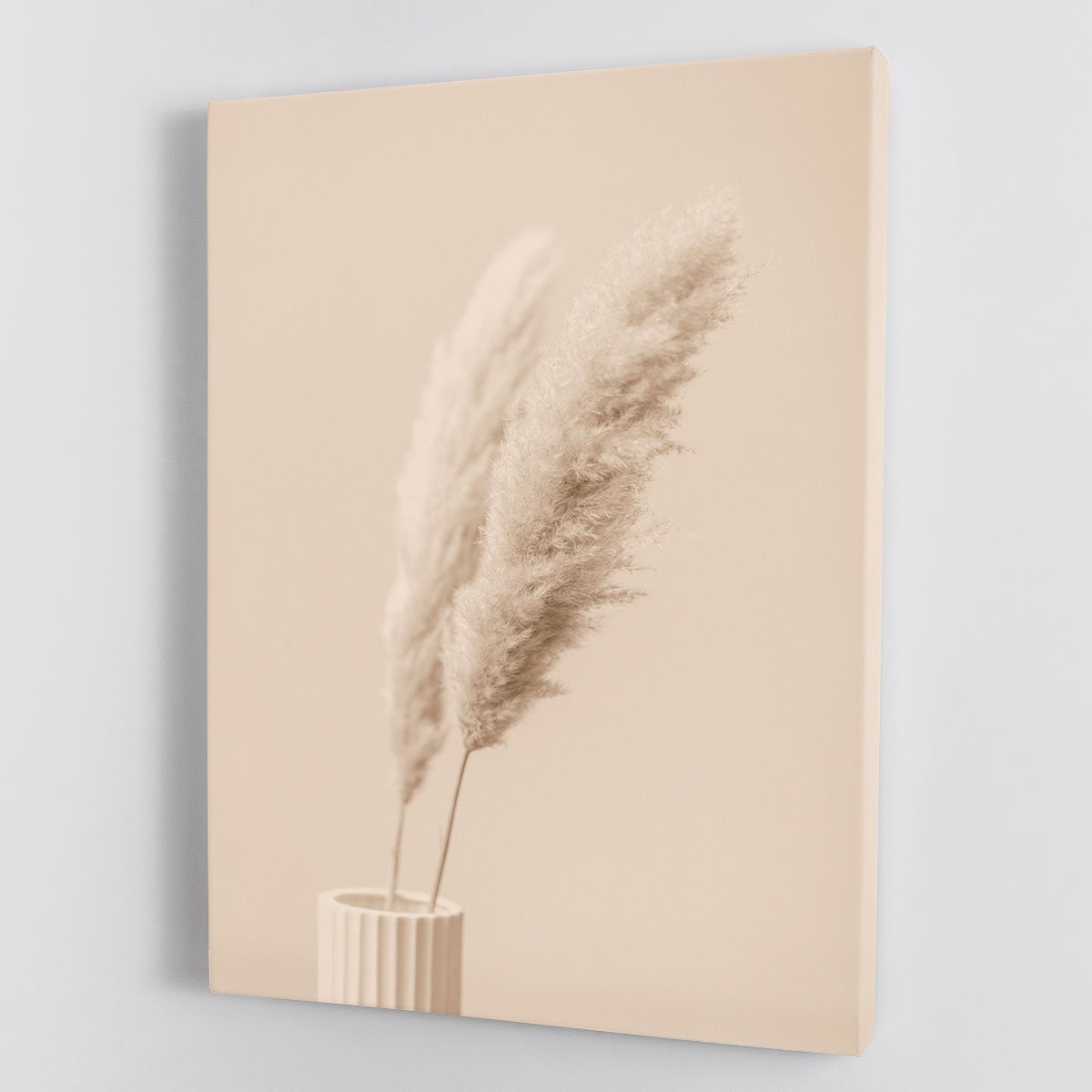 Pampas Grass Begie 13 Canvas Print or Poster - Canvas Art Rocks - 1