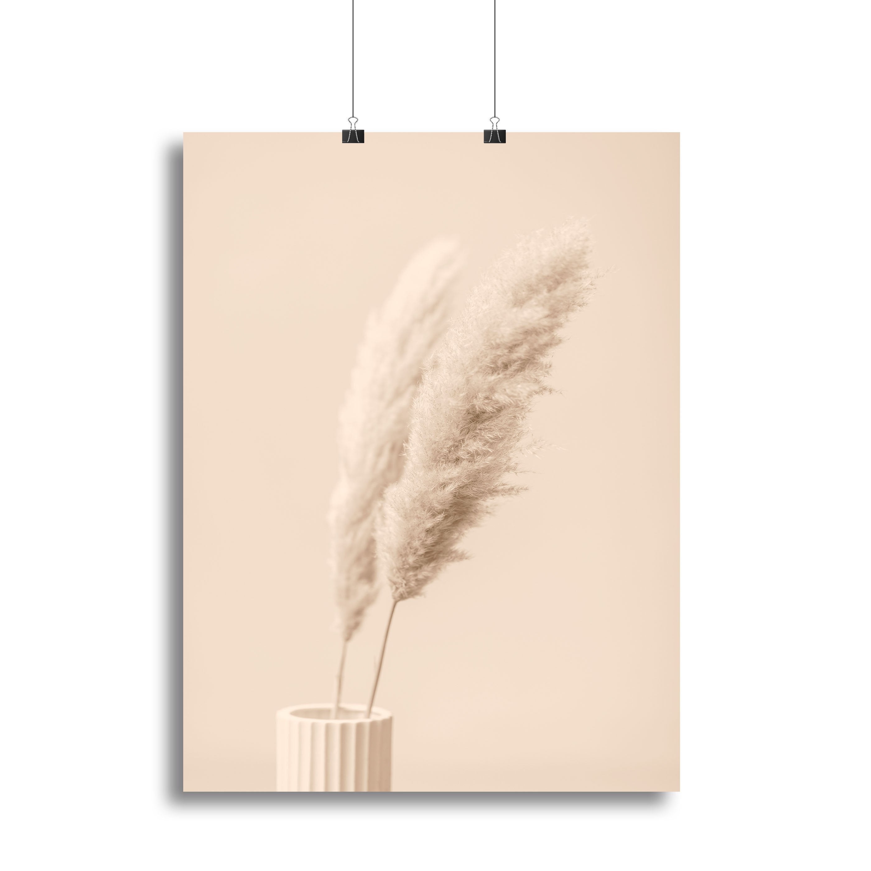 Pampas Grass Begie 13 Canvas Print or Poster - Canvas Art Rocks - 2