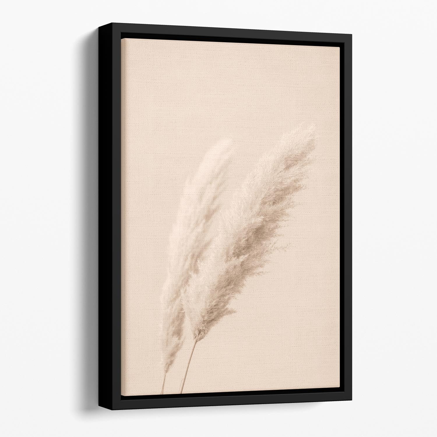 Pampas Grass Begie 15 Floating Framed Canvas - Canvas Art Rocks - 1