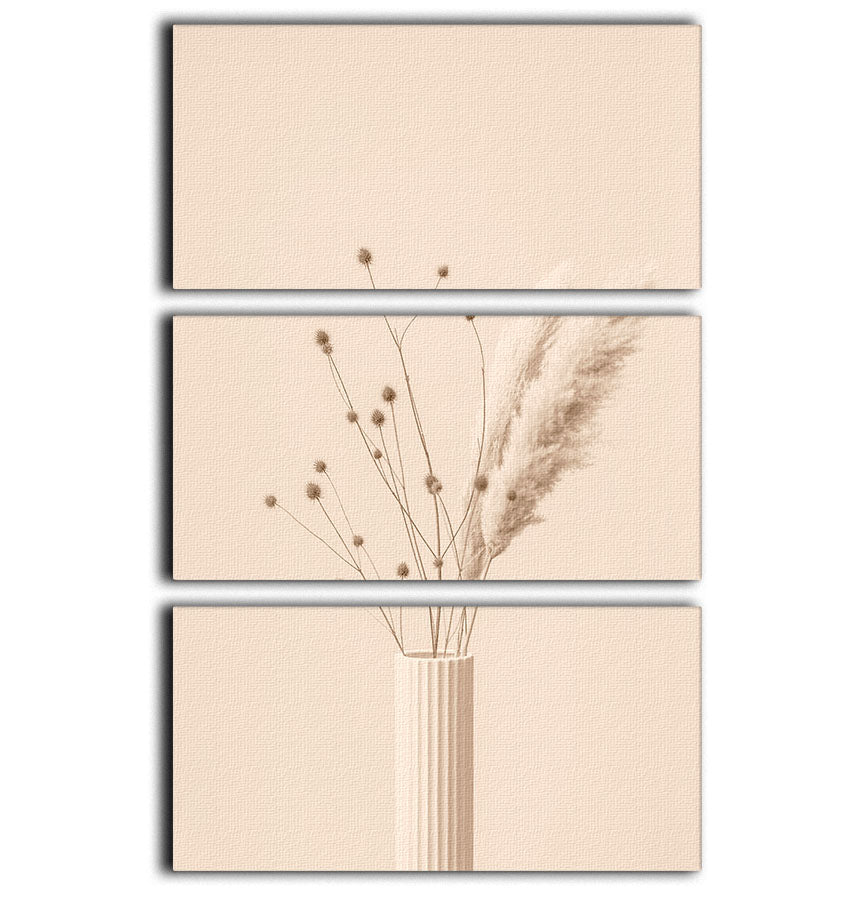 Thistle a Pampas Beige 3 Split Panel Canvas Print - Canvas Art Rocks - 1