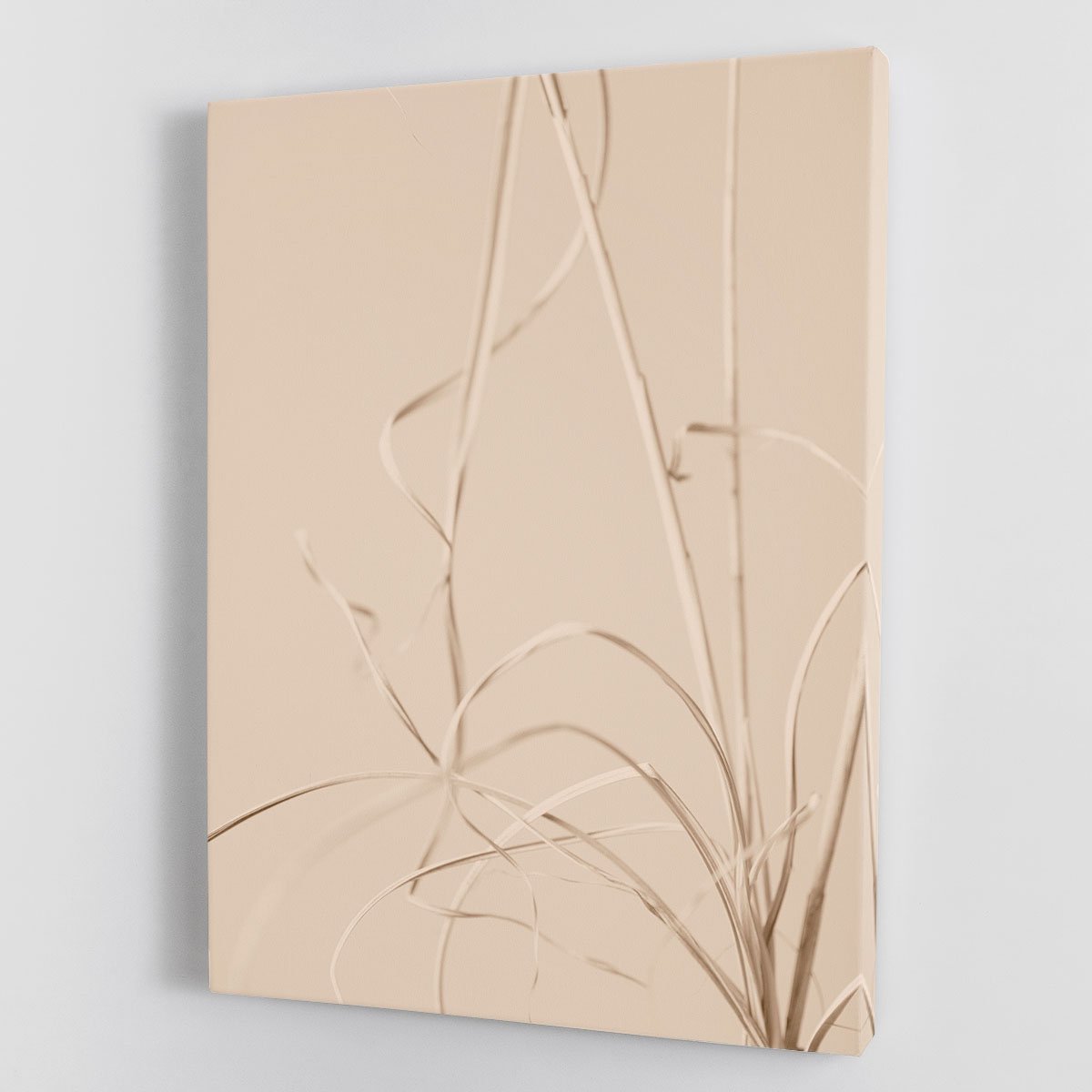 Dried Grass Beige 01 Canvas Print or Poster - Canvas Art Rocks - 1